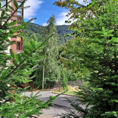 Sinaia Relax Residence Экстерьер фото