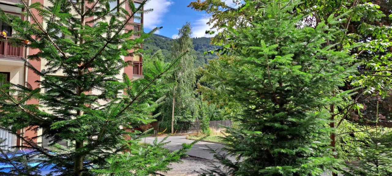 Sinaia Relax Residence Экстерьер фото