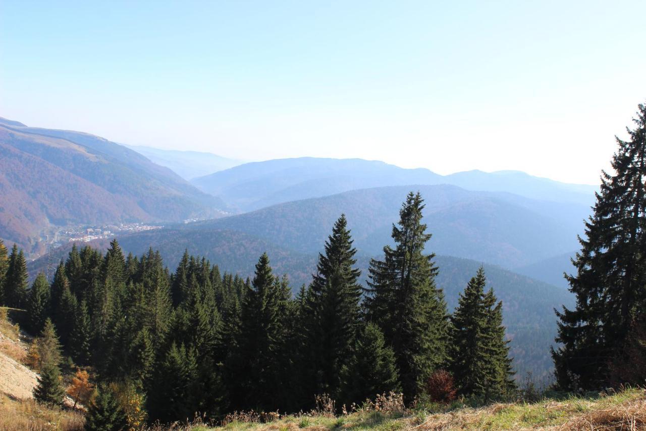 Sinaia Relax Residence Экстерьер фото